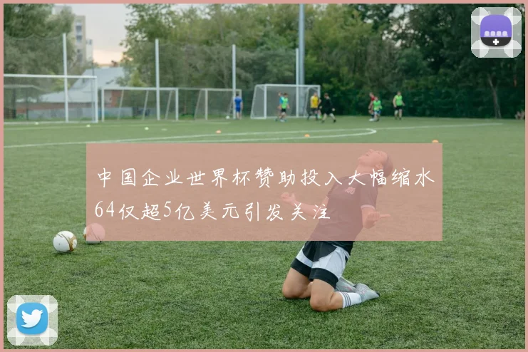 中国企业世界杯赞助投入大幅缩水64仅超5亿美元引发关注