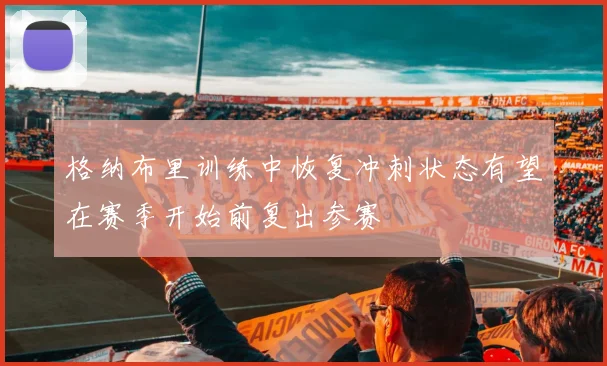 格纳布里训练中恢复冲刺状态有望在赛季开始前复出参赛