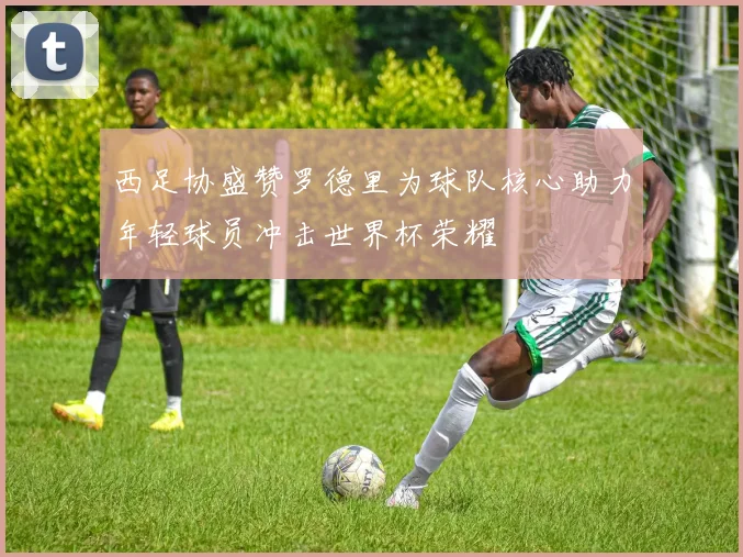 西足协盛赞罗德里为球队核心助力年轻球员冲击世界杯荣耀